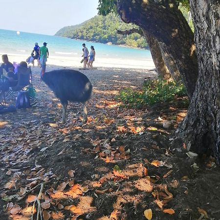 Possum Stay Innisfail Dış mekan fotoğraf