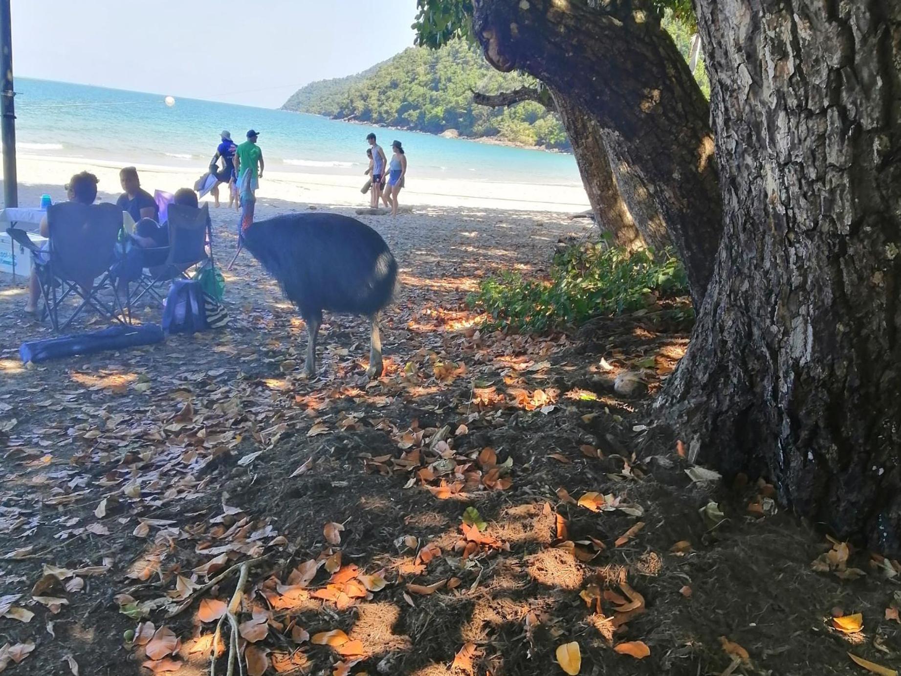 Possum Stay Innisfail Dış mekan fotoğraf